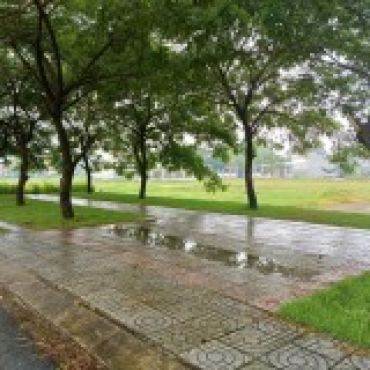 Hình ảnh Bán đất thửa 197 tờ 17 Thửa 197 Tờ 17 Xã Củ Chi Tp Hồ Chí Minh