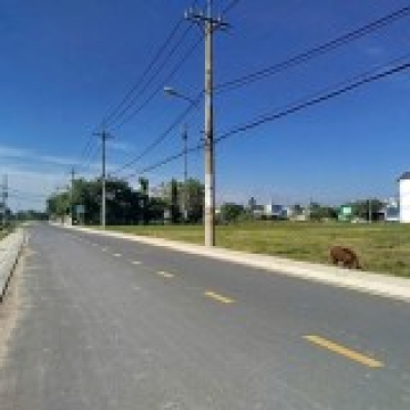 Hình ảnh Bán đất thửa 36 tờ 9 Mặt phố Xã Bà Điểm Tp Hồ Chí Minh