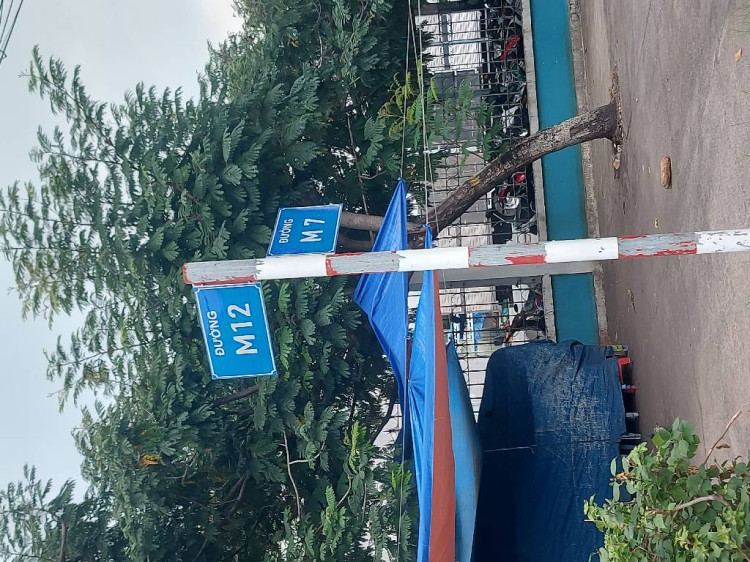 Hình ảnh Bán nhà hẻm 638/50/31a Lê Trọng Tấn, Bình Hưng Hòa
