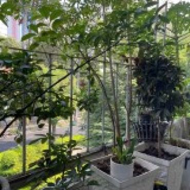 Hình ảnh Bán chung cư Lầu 2 Hồng Bàng Phường Chợ Lớn Tp Hồ Chí Minh