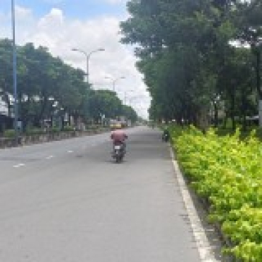 Hình ảnh Bán đất thửa 559 tờ 61 559 Tờ 61 Xã Vĩnh Lộc Tp Hồ Chí Minh