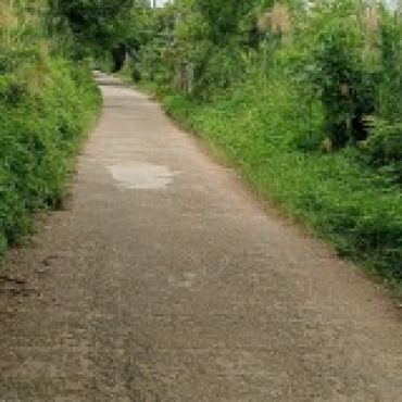 Hình ảnh Bán đất thửa 791 tờ 11 Nguyễn Văn Tạo Xã Hiệp Phước Tp Hồ Chí Minh