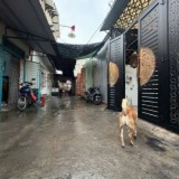 Hình ảnh Bán đất thửa 309 tờ 4 309 tờ 4 Xã Xuân Thới Sơn Tp Hồ Chí Minh