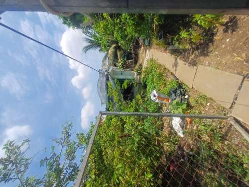 Hình ảnh Bán Đất 237/7 Nguyễn Văn Ràng (Đường Bờ Tây Kinh Cây Khô) Xã Phước Lộc Nhà Bè
