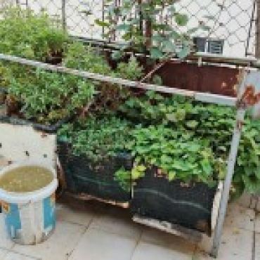 Hình ảnh Bán nhà hẻm 193/16/15B Lê Đức Thọ Phường Gò Vấp Tp Hồ Chí Minh