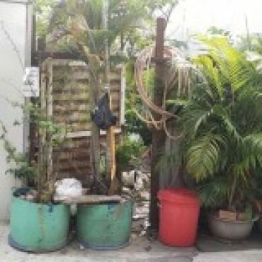 Hình ảnh Bán đất thửa 62-2 tờ 19 Chuyên Dùng Chín Phường Phú Thuận Tp Hồ Chí Minh