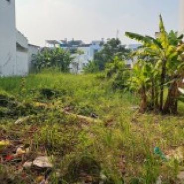 Hình ảnh Bán đất thửa 268-11 tờ 24 Đường số 6 KDC Gia Hòa Xã Bình Hưng Tp Hồ Chí Minh