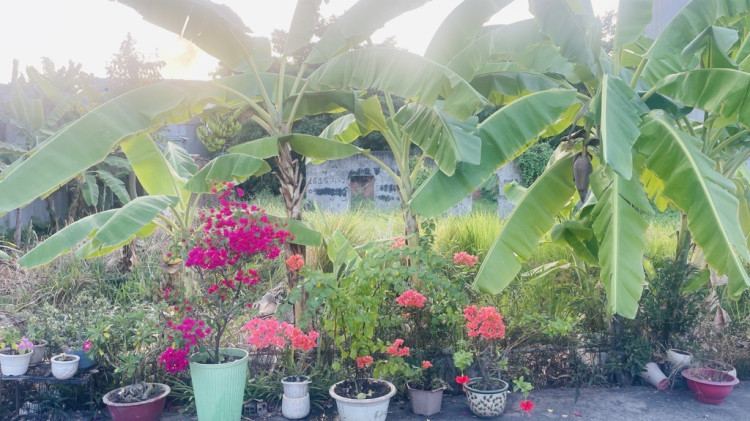 Hình ảnh Bán nhà mặt tiền 730 Thạnh Xuân 25, Thới An