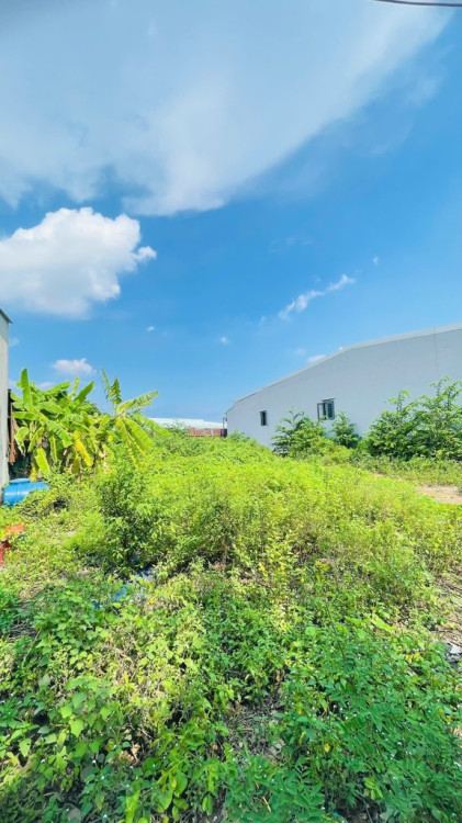 Hình ảnh Bán nhà Mặt tiền 521 Tây Lân, Phường Bình Tân