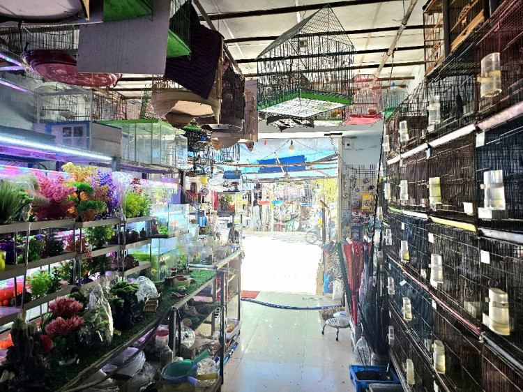 Hình ảnh Bán nhà Mặt tiền 644 Đỗ Xuân Hợp, Phường Phước Long