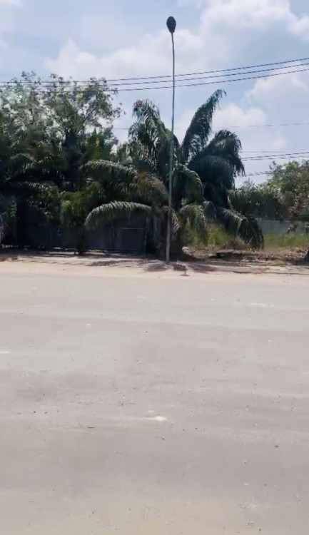 Hình ảnh Bán đất TĐS 924 TBĐ 48 924 Trường Lưu, Phường Long Trường