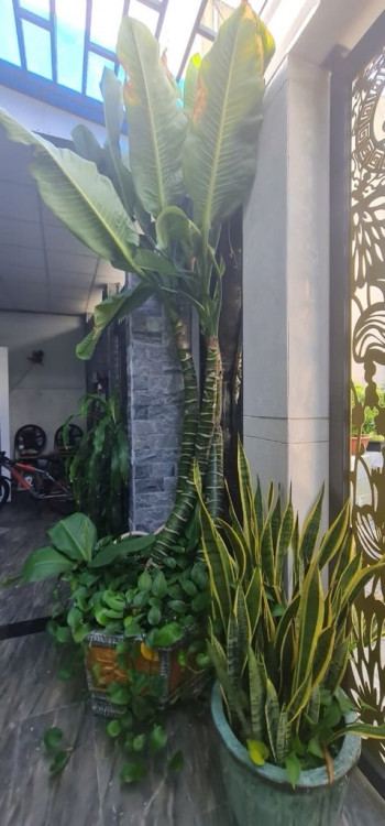 Hình ảnh Bán nhà hẻm 640/18/4 Trường Chinh, Phường Tân Bình