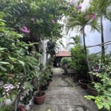 Hình ảnh Bán nhà hẻm 276/91/11 Thống Nhất Phường Gò Vấp Tp Hồ Chí Minh