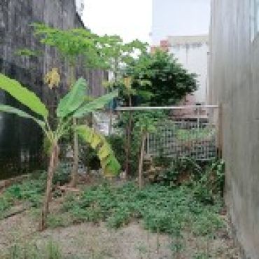 Hình ảnh Bán đất thửa 900 tờ 21 Nguyễn Thị Tư Phường Long Trường Tp Hồ Chí Minh