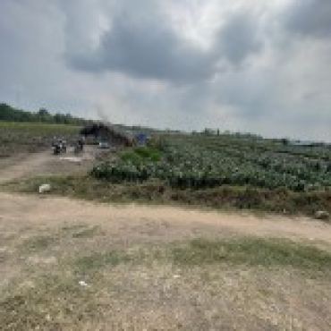 Hình ảnh Bán đất thửa 630 tờ 20 630 tờ 20 Xã Hóc Môn Tp Hồ Chí Minh