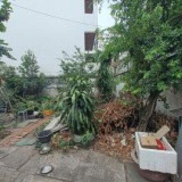 Hình ảnh Bán nhà hẻm 494/1/11 (Thửa 77 tờ 37) Lê Quang Định Phường An Nhơn Tp Hồ Chí Minh