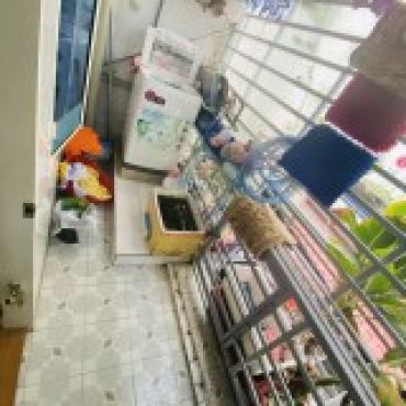 Hình ảnh Bán nhà hẻm 107/115/3 Quang Trung Phường Gò Vấp Tp Hồ Chí Minh