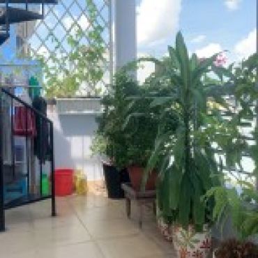 Hình ảnh Bán nhà hẻm 115/15 - 17 Nghĩa Hưng ( số cũ 25/7 Chấn Hưng ) Phường Bảy Hiền Tp Hồ Chí Minh