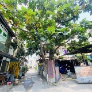 Hình ảnh Bán chung cư ( Số cũ 10.4 ) Quang Trung Phường Gò Vấp Tp Hồ Chí Minh