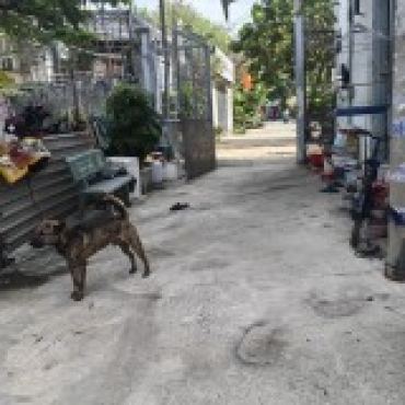 Hình ảnh Bán nhà hẻm 16/12 Trần Thị Bốc Xã Hóc Môn Tp Hồ Chí Minh