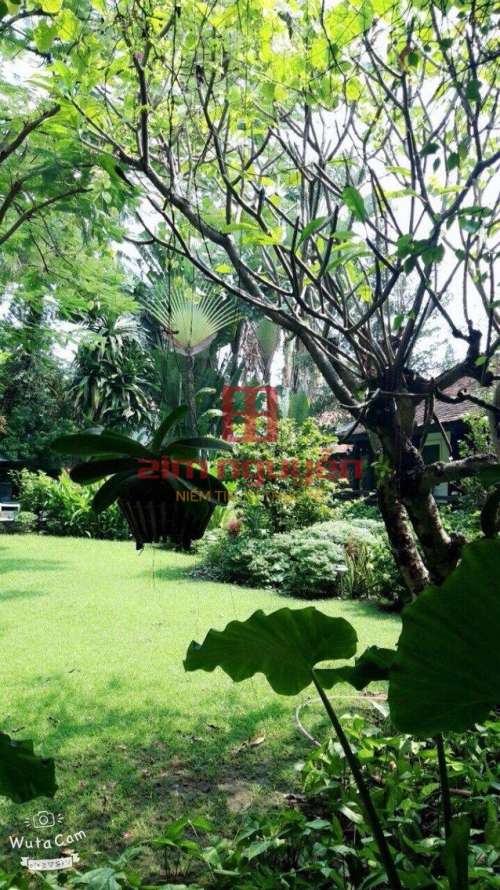 Hình ảnh Bán biệt thự 6 Đường Số 6, Trần Ngọc Diện, Thảo Điền, Quận 2