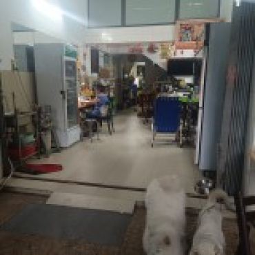 Hình ảnh Bán chung cư ( Mặt tiền ) 16 Hẻm 2 Đường Huỳnh Văn Chính Phường Tân Sơn Hòa Tp Hồ Chí Minh