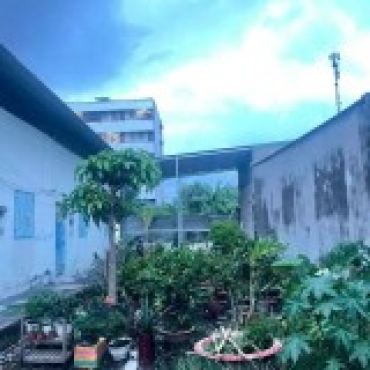 Hình ảnh Bán đất thửa 512 tờ 16 APĐ10 Phường An Phú Đông Tp Hồ Chí Minh