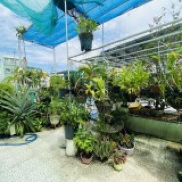 Hình ảnh Bán nhà hẻm 67/38/4 Bùi Văn Ba Phường Tân Thuận Tp Hồ Chí Minh