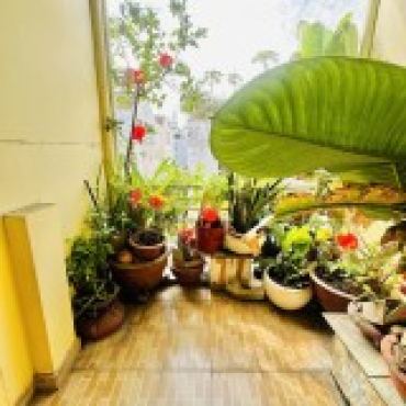 Hình ảnh Bán nhà hẻm 666/20/11 Ba tháng Hai Phường Hòa Hưng Tp Hồ Chí Minh