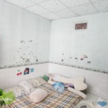 Hình ảnh Bán nhà 2 (Số mới 4) Đường 22 Phường Phước Long Tp Hồ Chí Minh