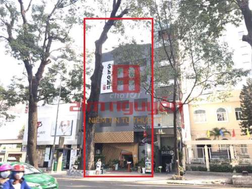 Hình ảnh Cho thuê 6B Phạm Ngọc Thạch Phường 6 Quận 3