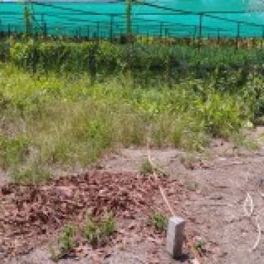 Hình ảnh Bán đất thửa 142 tờ 05 Liên Ấp 4 5 Xã Bình Chánh Tp Hồ Chí Minh