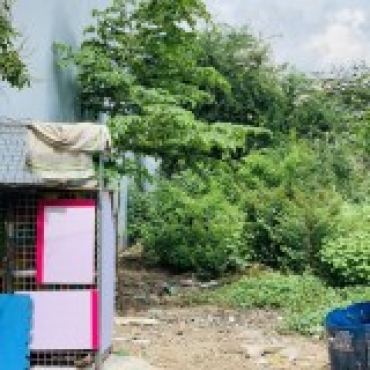 Hình ảnh Bán đất thửa 655 tờ 87 655 tờ 87 Xã Tân Vĩnh Lộc Tp Hồ Chí Minh
