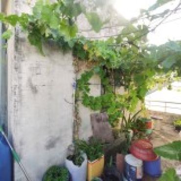Hình ảnh Bán nhà hẻm 7/126 Liên khu 5-6 Phường Bình Tân Tp Hồ Chí Minh