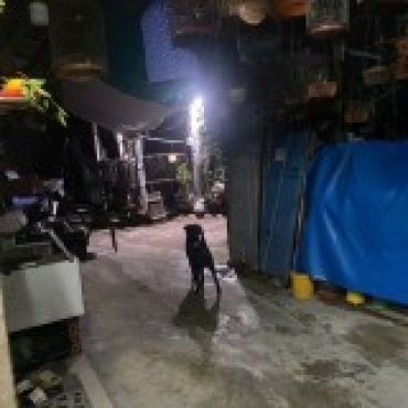 Hình ảnh Bán nhà hẻm 2/14 Liên Khu 2 - 5 Đường Phường Bình Trị Đông Tp Hồ Chí Minh