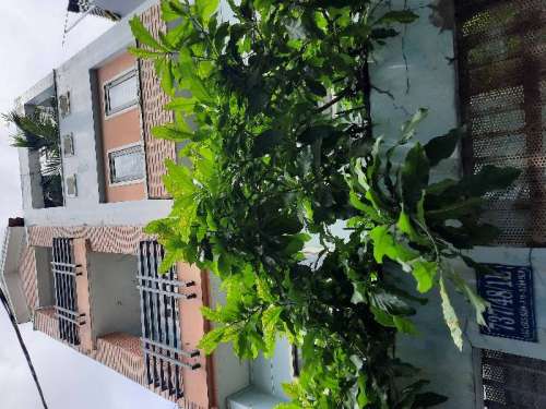 Hình ảnh Bán nhà 737/48/1E Lạc Long Quân Phường 10 Quận Tân Bình