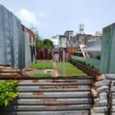 Hình ảnh Bán đất thửa 171 tờ 09 Dương Thị Mười Phường Trung Mỹ Tây Tp Hồ Chí Minh