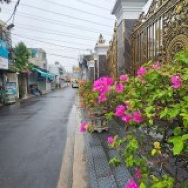 Hình ảnh Bán đất thửa 653 tờ 177 653 Tờ 177 Xã Đông Thạnh Tp Hồ Chí Minh