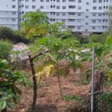 Hình ảnh Bán chung cư Thửa 73 tờ 03 Đường số 4 Phường Thủ Đức Tp Hồ Chí Minh