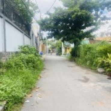 Hình ảnh Bán nhà hẻm 367/19 Vườn Lài Phường An Phú Đông Tp Hồ Chí Minh