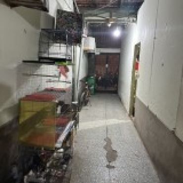 Hình ảnh Bán nhà 124 Đường số 3 Phường Gò Vấp Tp Hồ Chí Minh