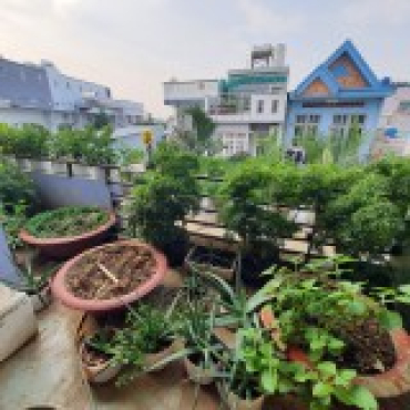 Hình ảnh Bán chung cư SINCO Phường An Lạc Tp Hồ Chí Minh