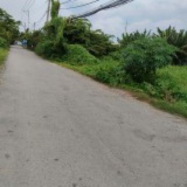 Hình ảnh Bán đất thửa 561 tờ 40 561 Tờ 40 Xã Bình Chánh Tp Hồ Chí Minh