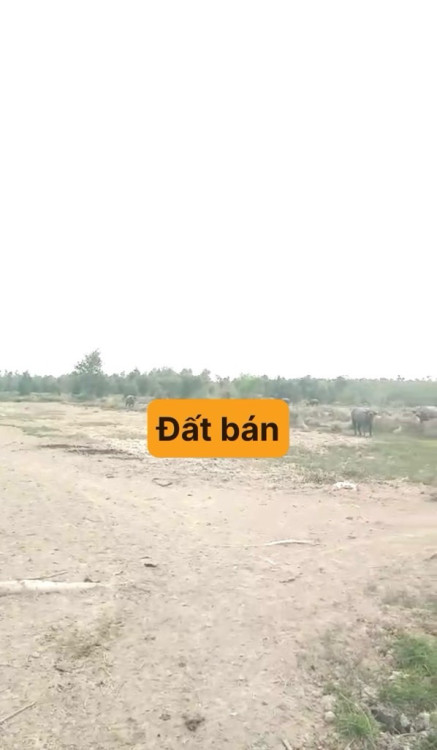Hình ảnh Bán nhà mặt tiền 429 Phạm Thế Hiển, Phường Bình Đông