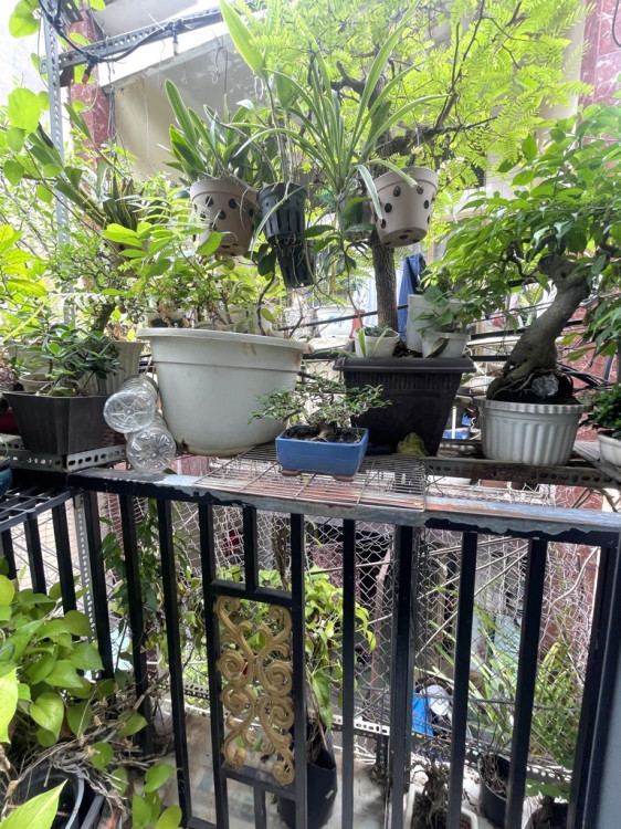 Hình ảnh Bán nhà hẻm 1036/24/18 Cách Mạng Tháng Tám, Tân Sơn Nhất