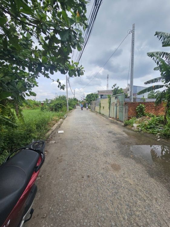 Hình ảnh Bán Thửa 4163 tờ số 4 Vườn Lài, Phường An Phú Đông