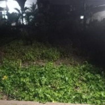 Hình ảnh Bán đất thửa 876 tờ 8 Đường số 53 Xã Bình Chánh Tp Hồ Chí Minh