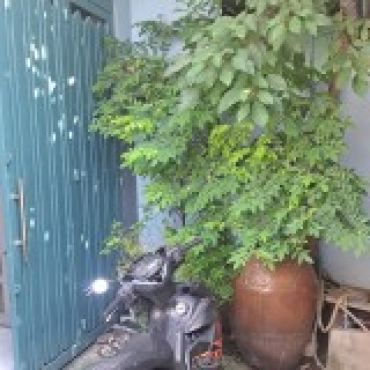Hình ảnh Bán nhà hẻm A14B/46 Ấp 1B Xã Tân Vĩnh Lộc Tp Hồ Chí Minh