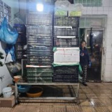 Hình ảnh Bán nhà 66C Đội Cung Phường Phú Thọ Tp Hồ Chí Minh