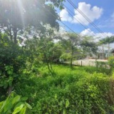 Hình ảnh Bán đất thửa 588 tờ 1 Tỉnh lộ 8 Xã Bình Mỹ Tp Hồ Chí Minh